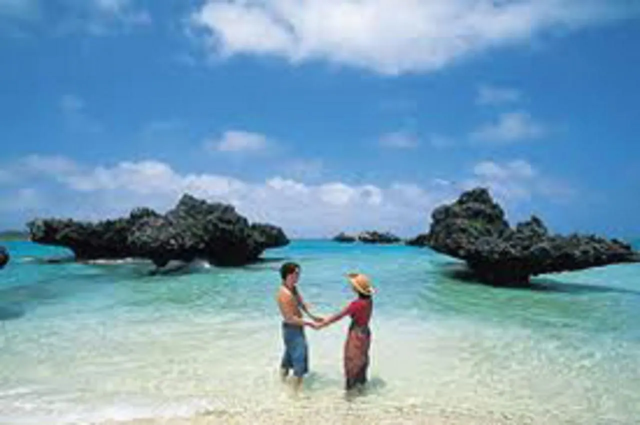 Kadaloram Beach Resort Kochi 印度